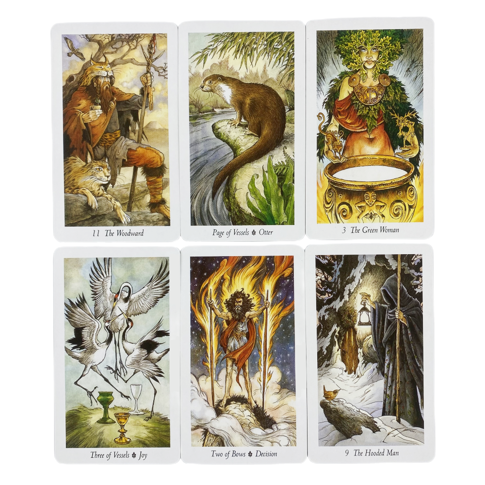 The Wild Wood Tarot Cards A 78 - Board Game Wild Wild review and price