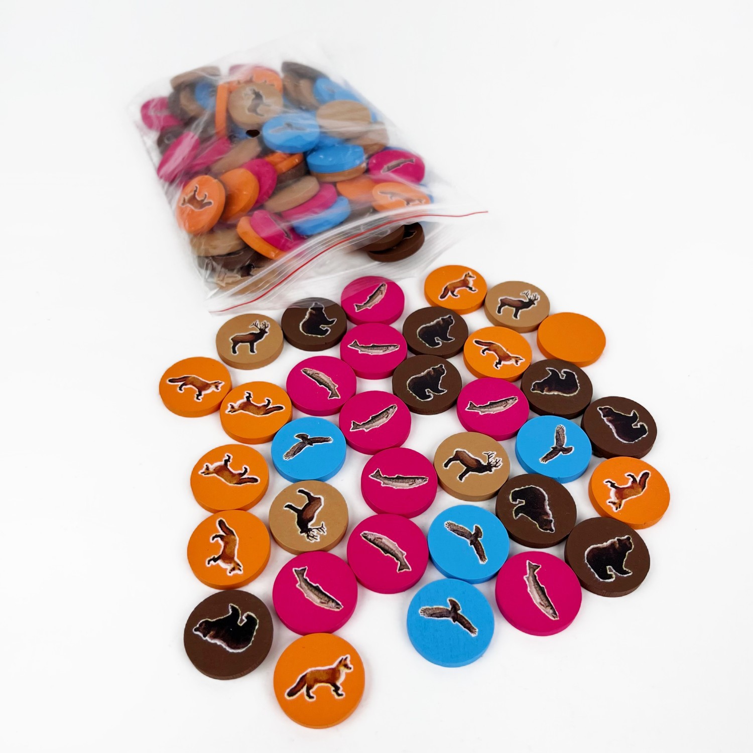 Gioco da Tavolo Cascadia per 1 - Board Game Harmonies review and price