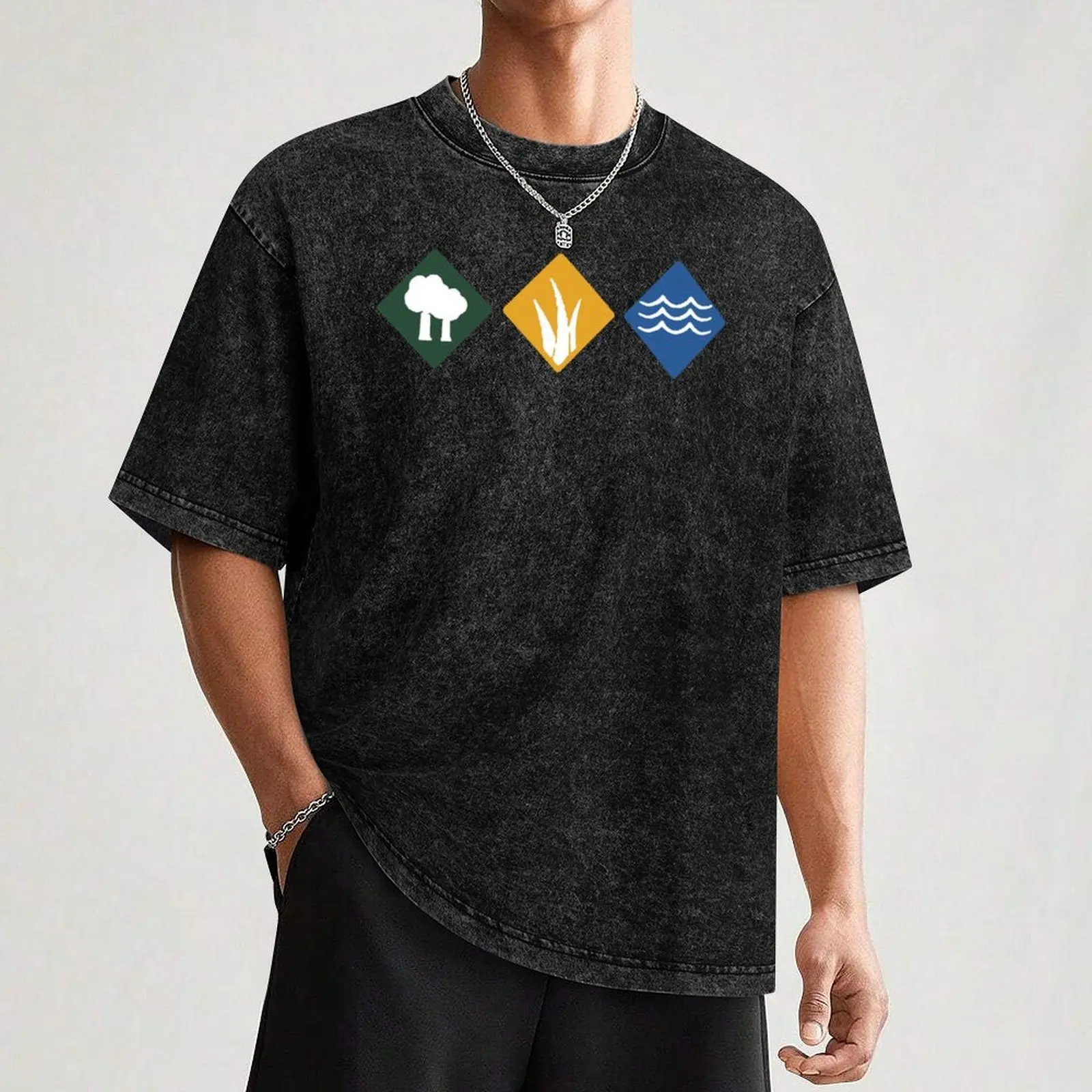 Wingspan Board Game, T-shirt W - Board Game Wingspan review and price
