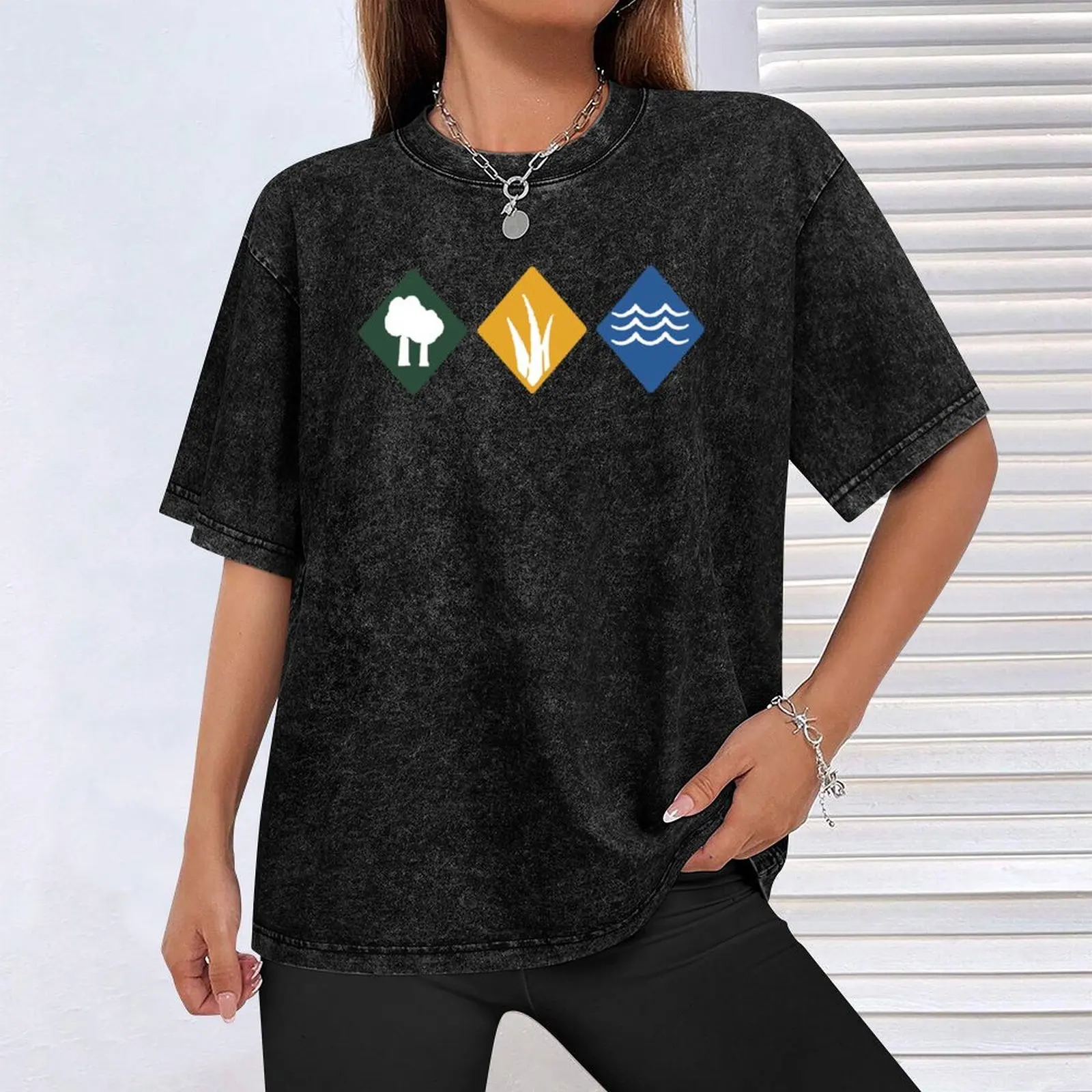 Wingspan Board Game, T-shirt W - Board Game Wingspan review and price