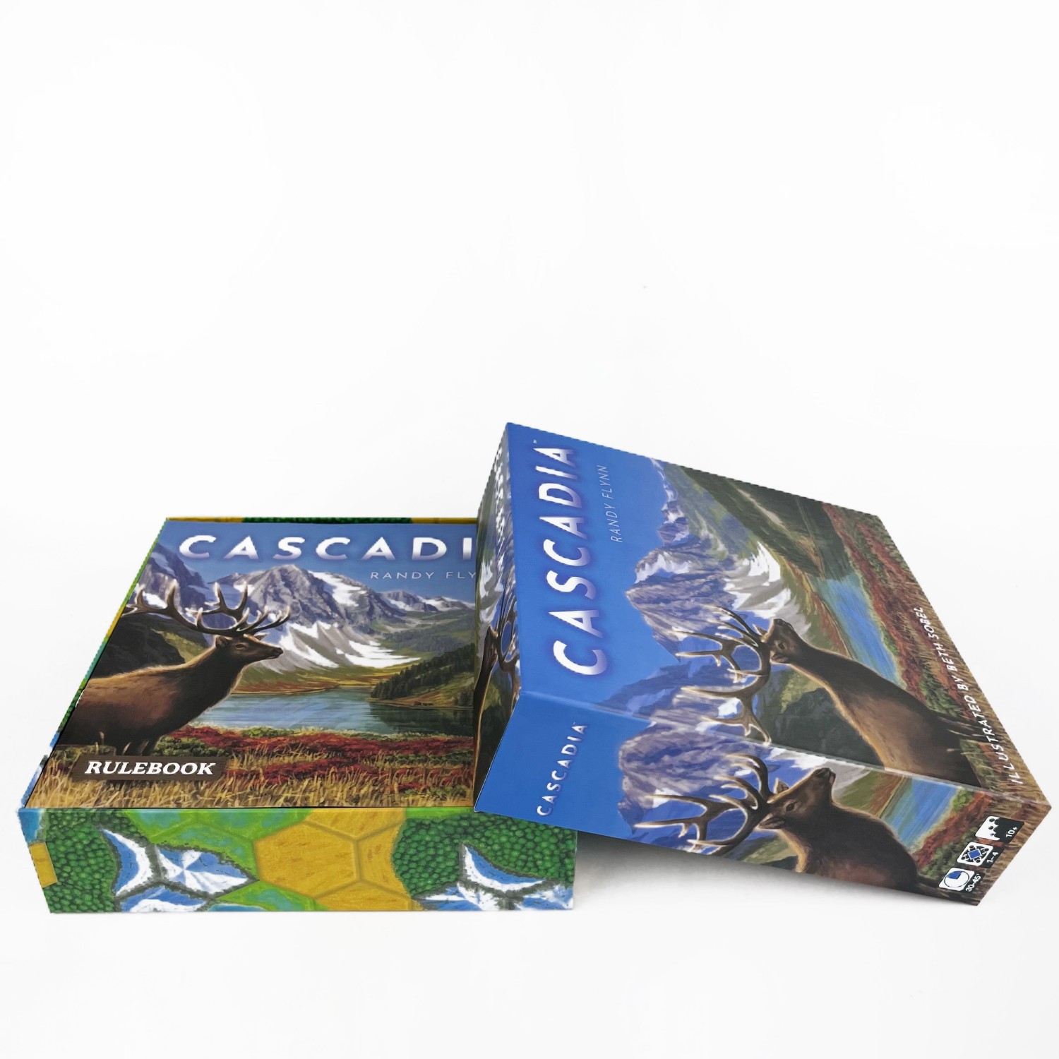 Gioco da tavolo Cascadia |   G - Board Game Harmonies review and price