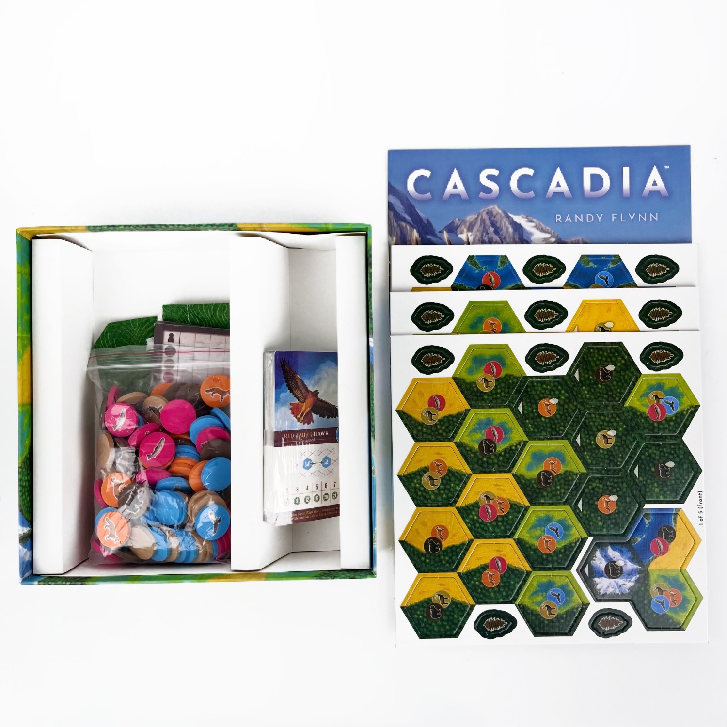 Gioco da tavolo Cascadia |   G - Board Game Harmonies review and price