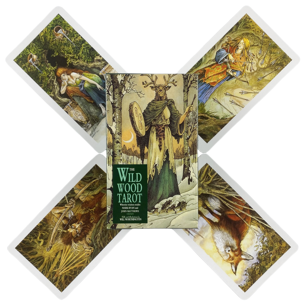 Nuove carte dei tarocchi Mazzo - Board Game Wild Wild review and price